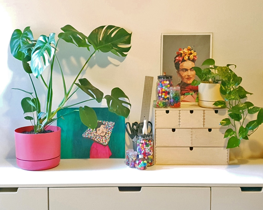 Cork & Chroma finds the. perfect plants for your creative space