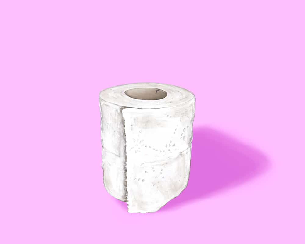 Toilet Paper Digital Painting by Hillary Wall