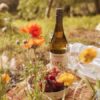 Stoneleigh Organic Wines